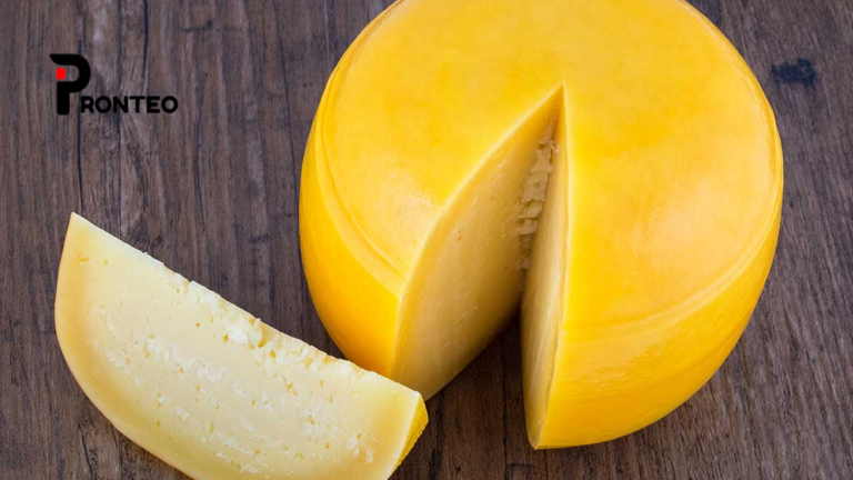 gouda cheese